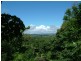 18 Left Bank Road, Mullumbimby NSW 2482