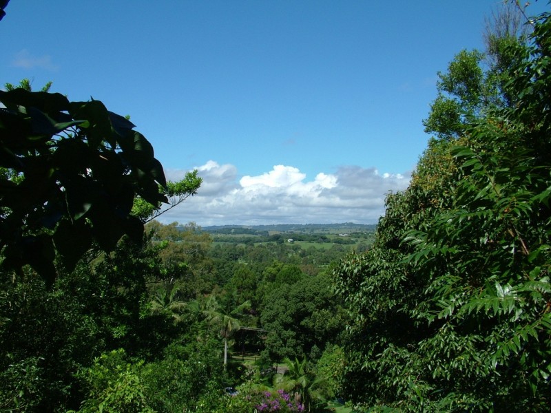 18 Left Bank Road, Mullumbimby NSW 2482