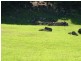18 Left Bank Road, Mullumbimby NSW 2482
