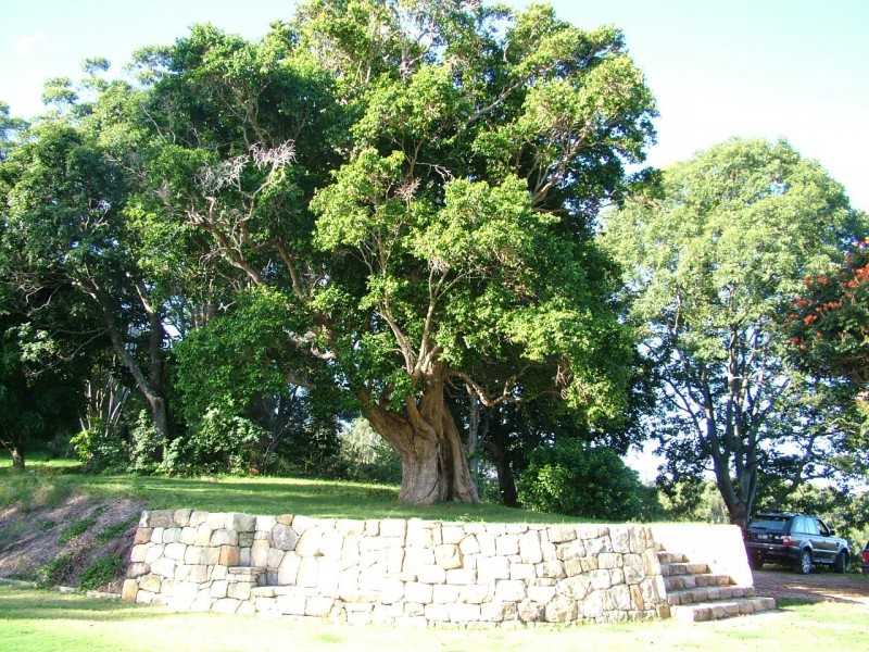 Lot 13 Coolamon Scenic Drive, Mullumbimby NSW 2482