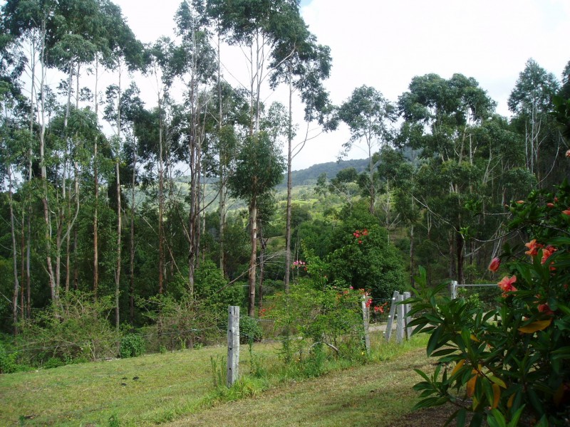 Lot 13 Coolamon Scenic Drive, Mullumbimby NSW 2482