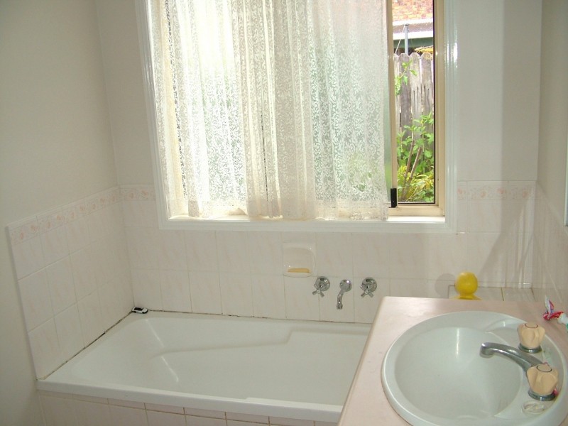 3 Rush Court, Mullumbimby NSW 2482
