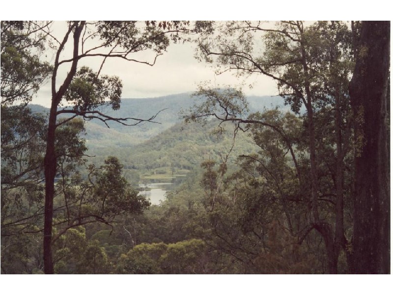 Commissioners Creek NSW 2484