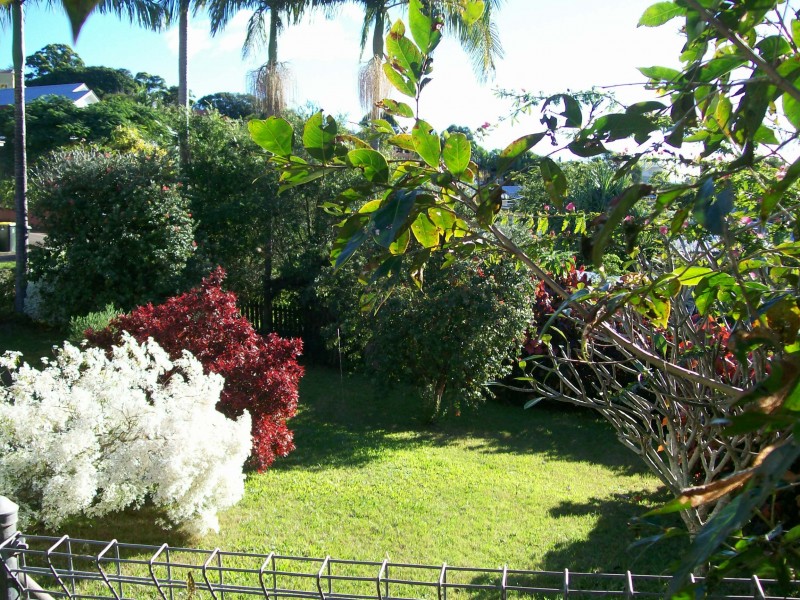 Murwillumbah NSW 2484