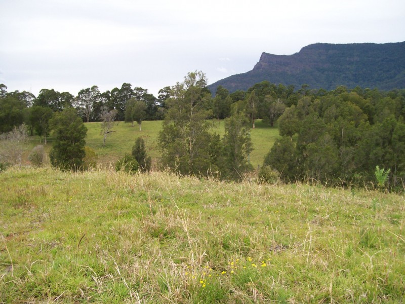 Tyalgum NSW 2484