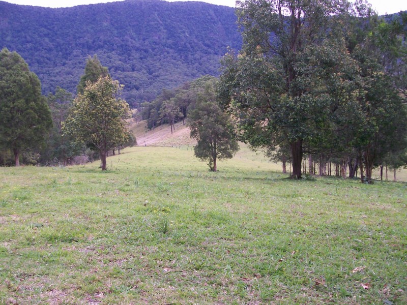 Tyalgum NSW 2484