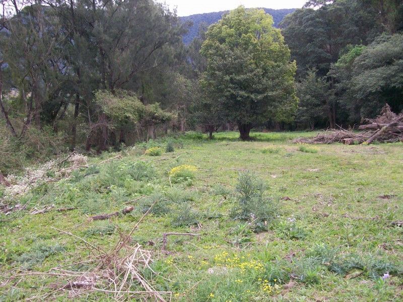 Tyalgum NSW 2484