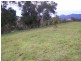 Tyalgum NSW 2484