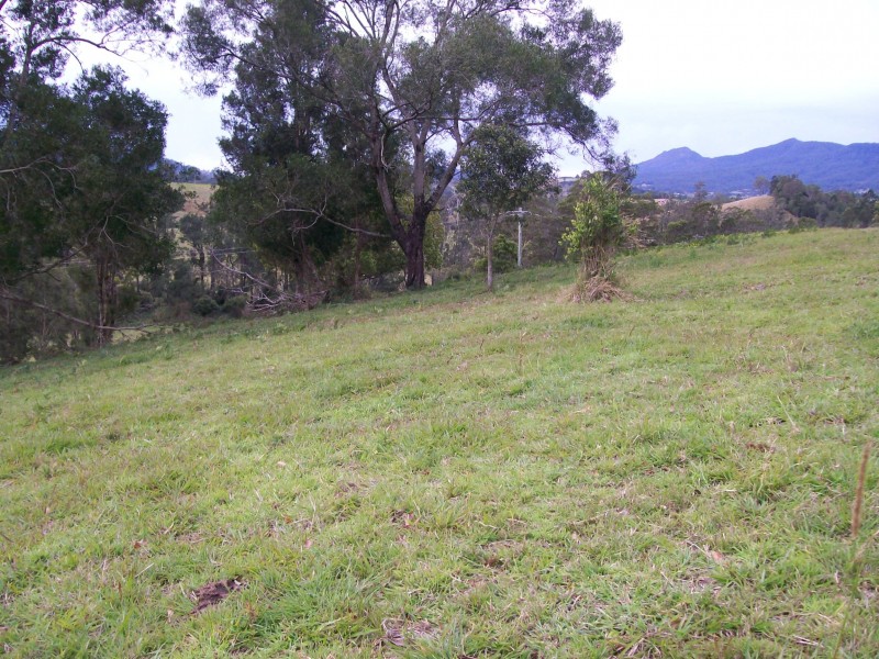 Tyalgum NSW 2484