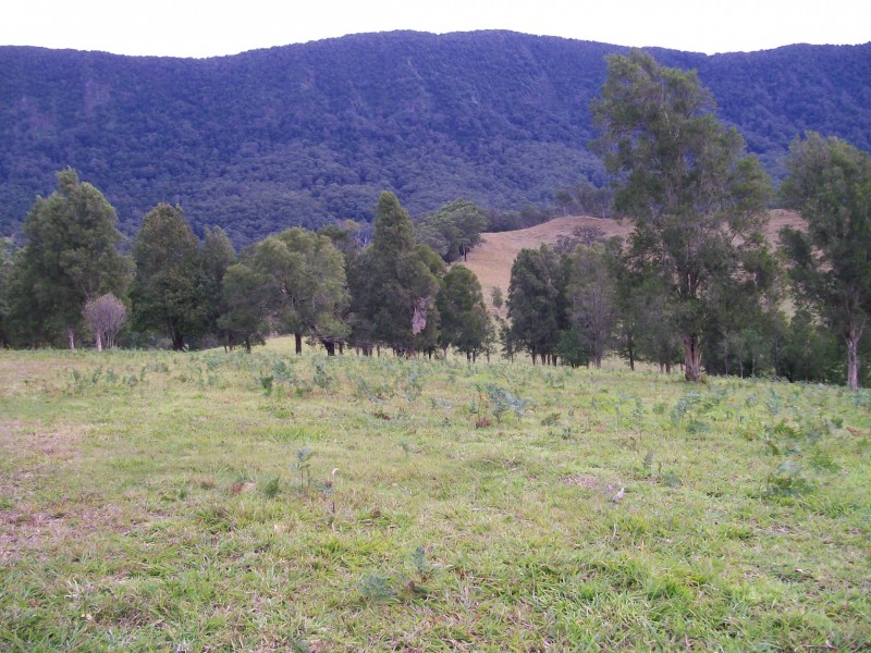 Tyalgum NSW 2484