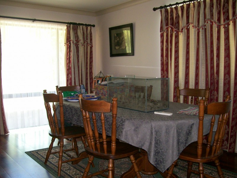 Tyalgum NSW 2484