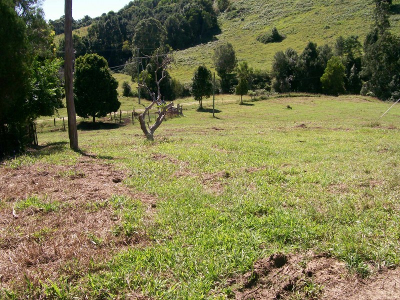 Murwillumbah NSW 2484