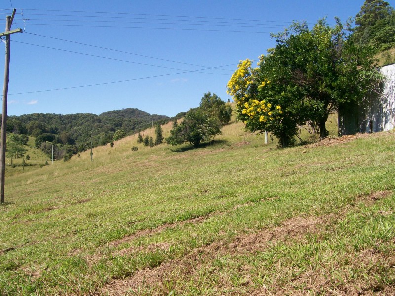 Murwillumbah NSW 2484