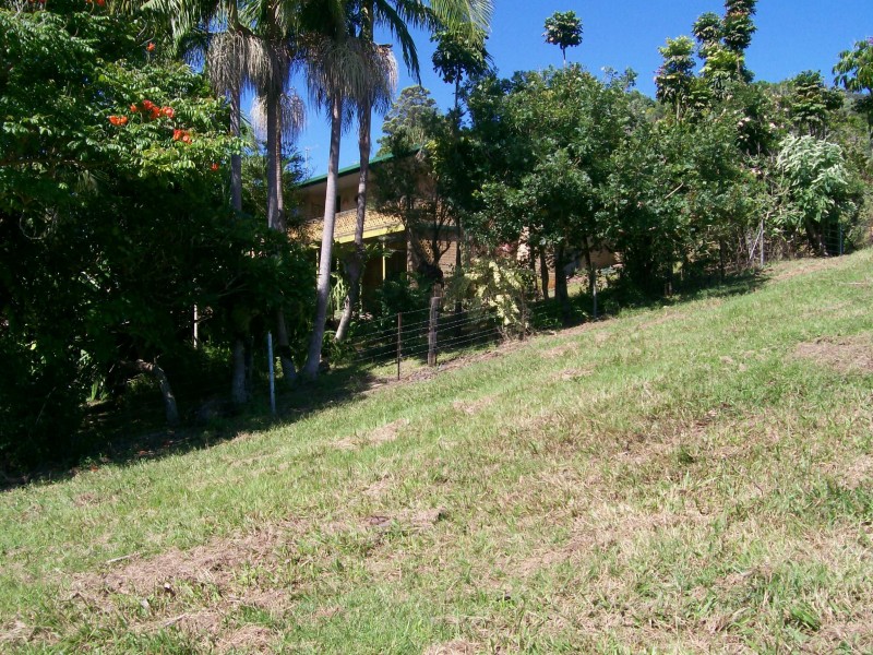 Murwillumbah NSW 2484