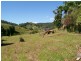 Murwillumbah NSW 2484