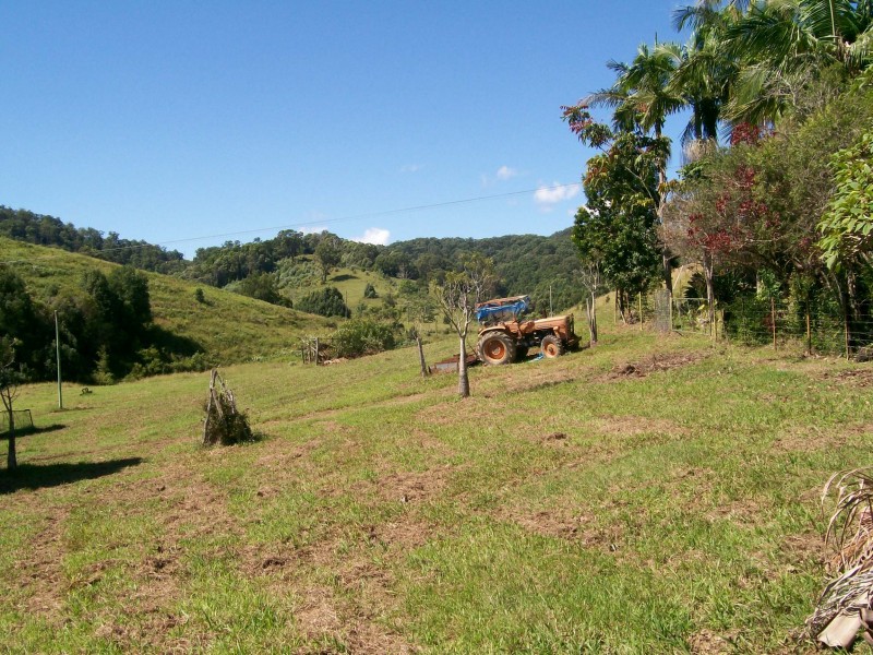 Murwillumbah NSW 2484