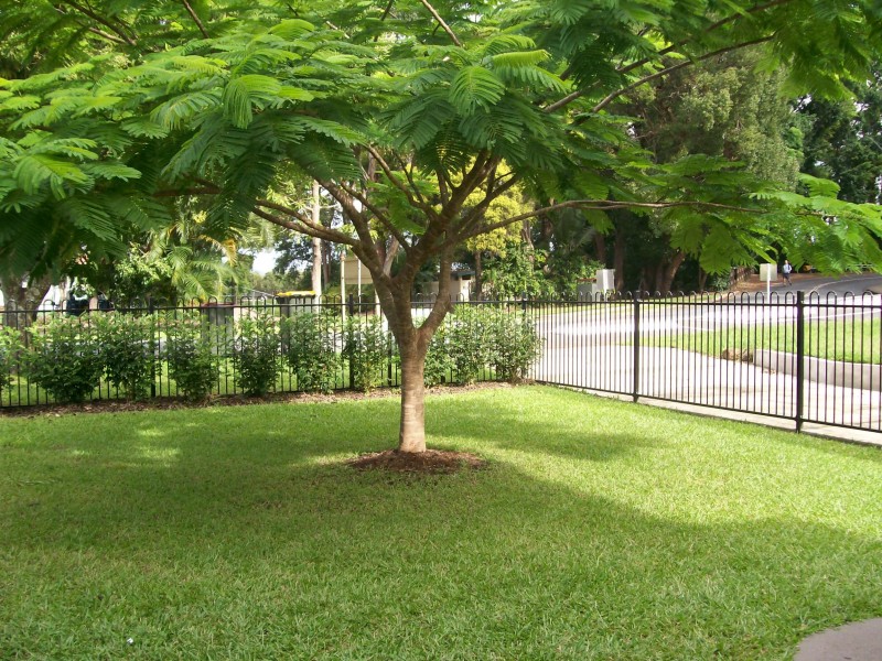 Murwillumbah NSW 2484