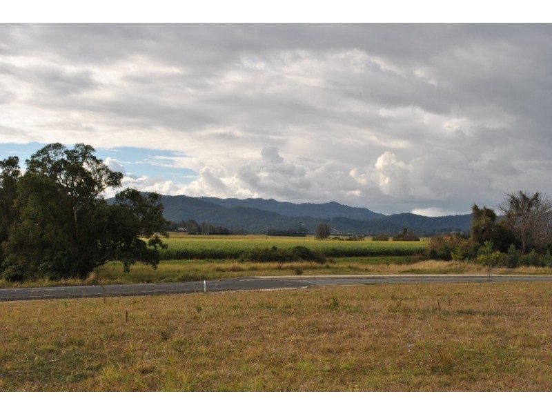 Murwillumbah NSW 2484