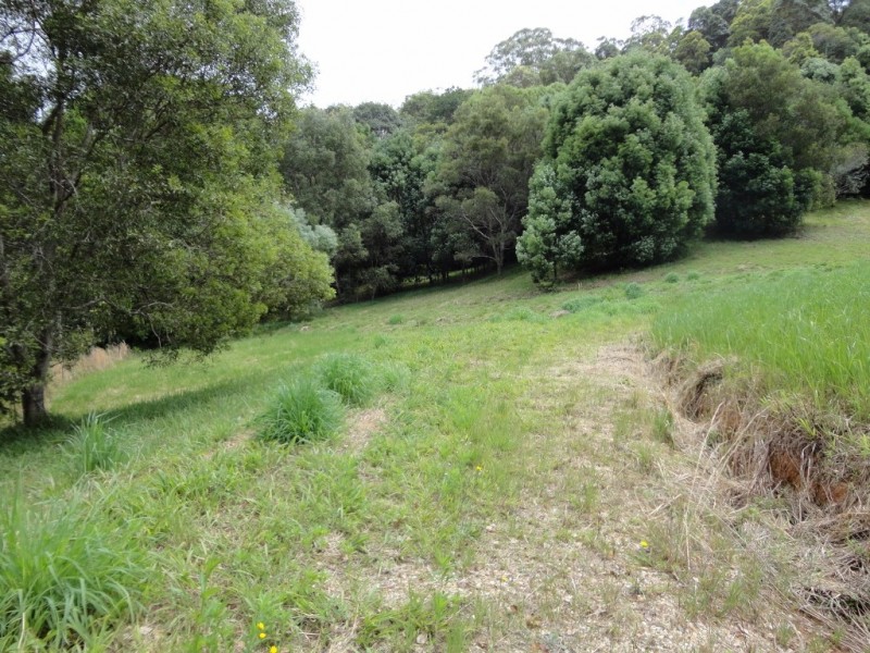 Fernvale NSW 2484