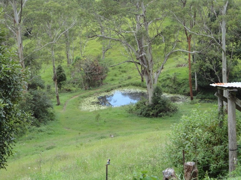 Stokers Siding NSW 2484