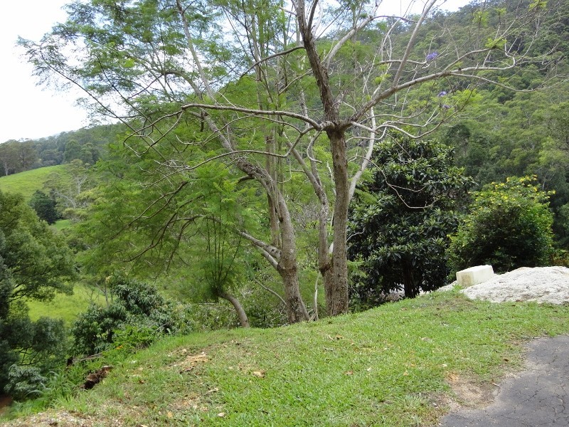 Stokers Siding NSW 2484