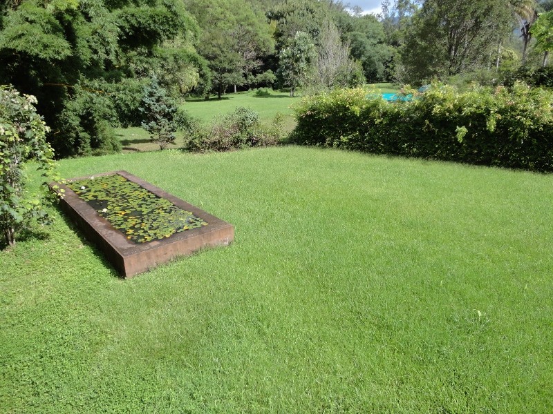 Chillingham NSW 2484