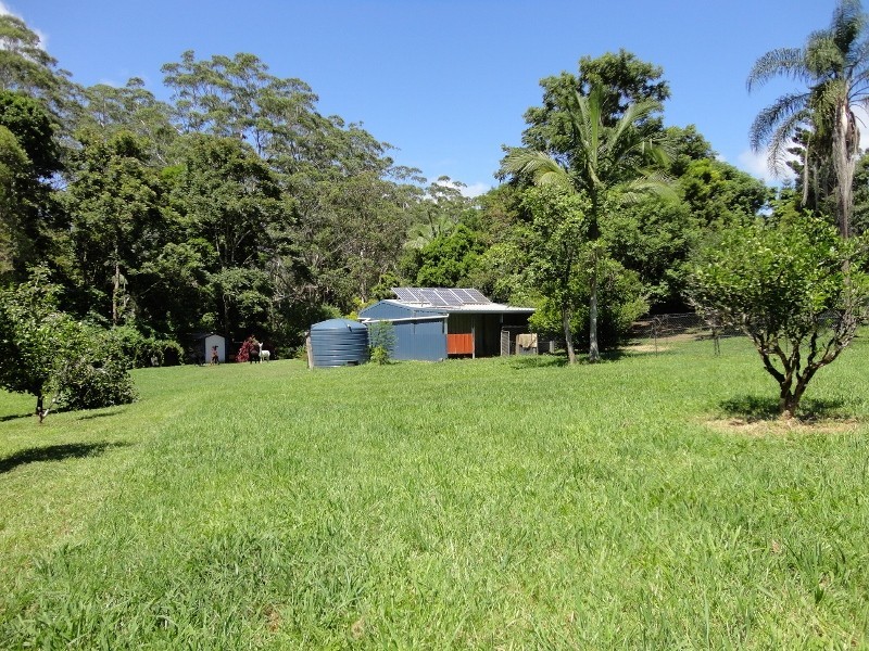 Mount Burrell NSW 2484