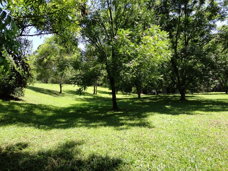 Mount Burrell NSW 2484