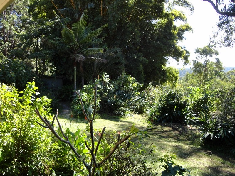 Mount Burrell NSW 2484