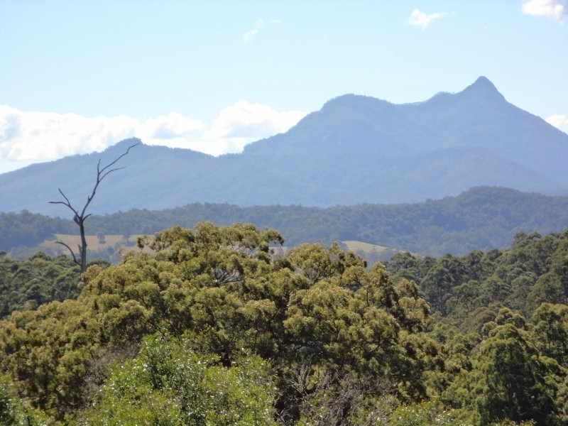 Mount Burrell NSW 2484