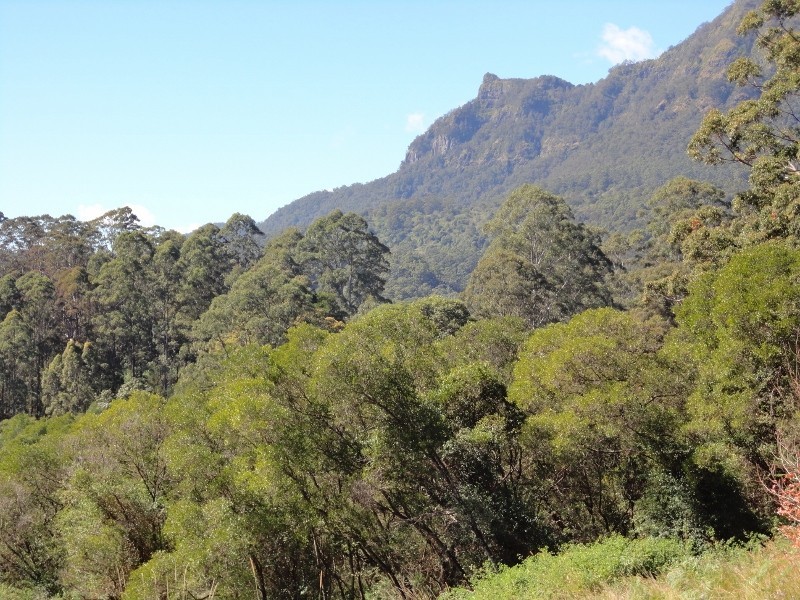 Mount Burrell NSW 2484