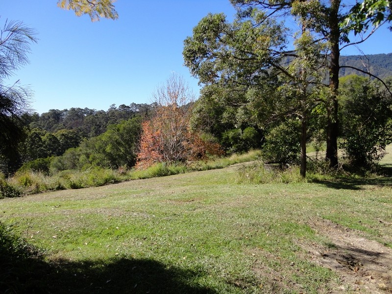 Mount Burrell NSW 2484