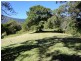 Mount Burrell NSW 2484