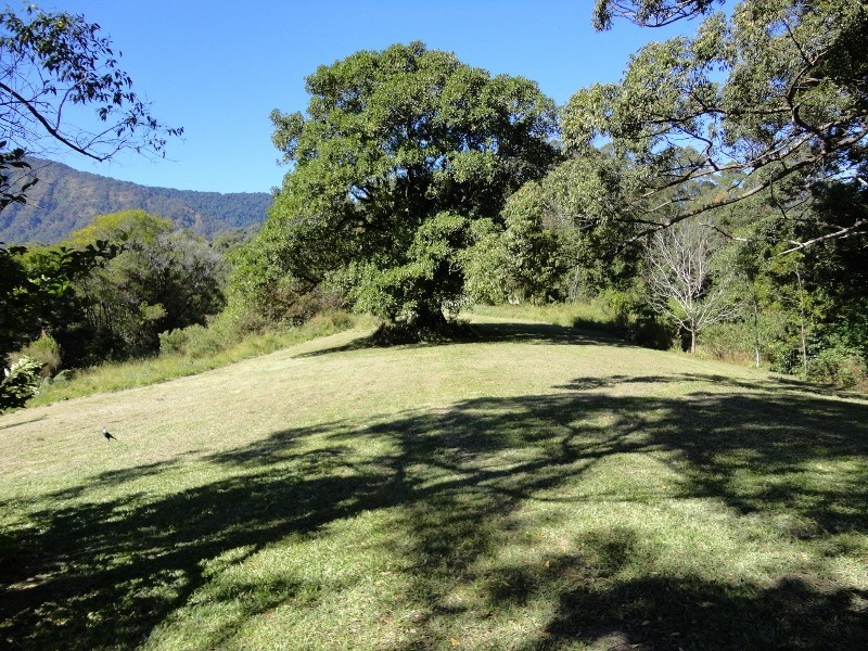 Mount Burrell NSW 2484