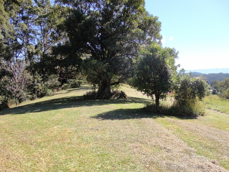 Mount Burrell NSW 2484