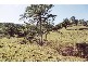 Wardrop Valley NSW 2484