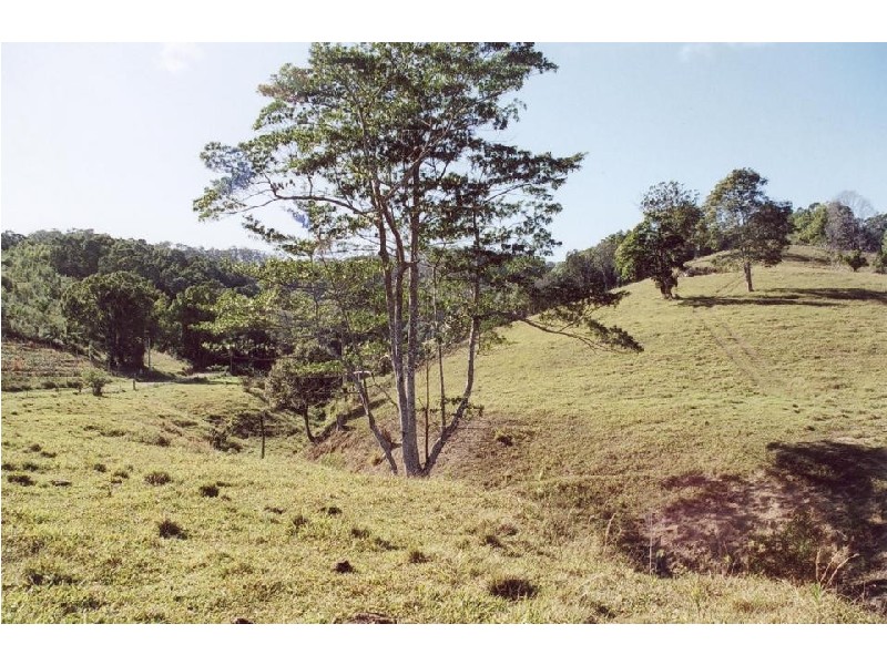 Wardrop Valley NSW 2484