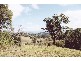 Wardrop Valley NSW 2484
