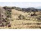 Wardrop Valley NSW 2484