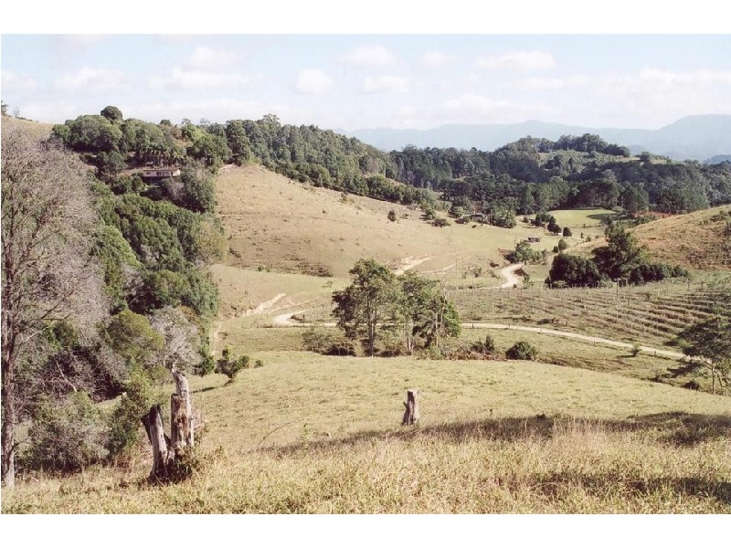 Wardrop Valley NSW 2484