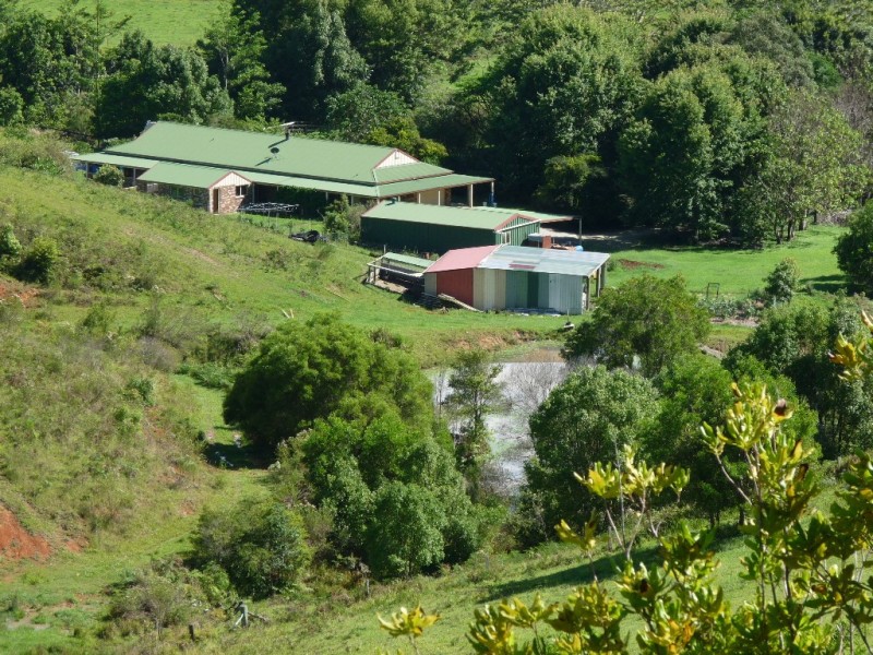 Stokers Siding NSW 2484