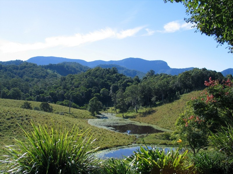 Upper Crystal Creek NSW 2484