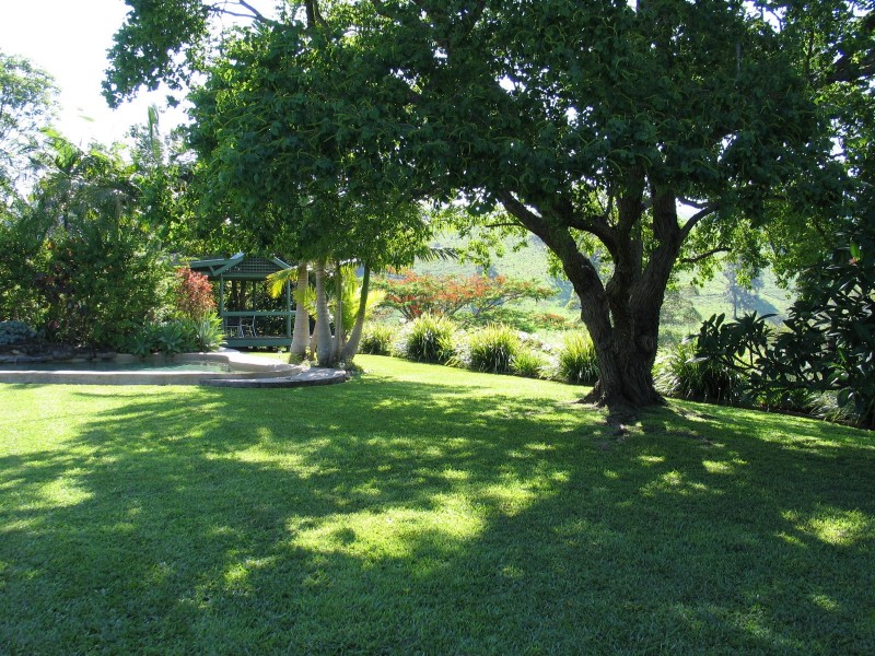 Upper Crystal Creek NSW 2484