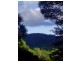 Mount Warning NSW 2484