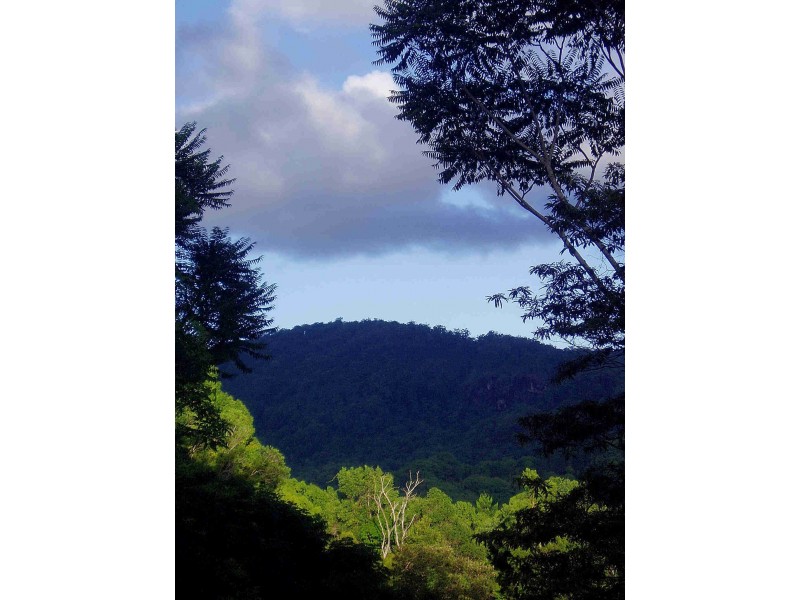 Mount Warning NSW 2484