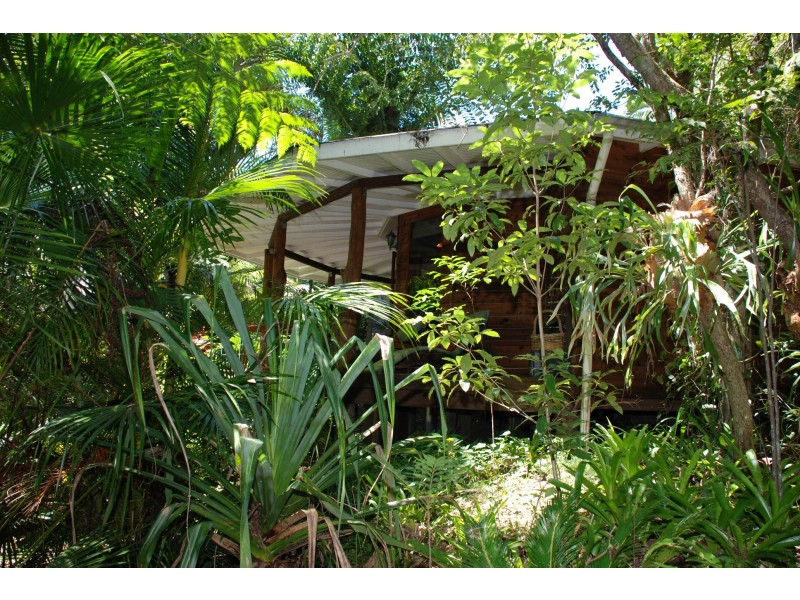 Mount Warning NSW 2484