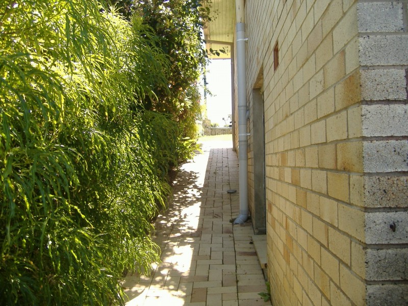 Murwillumbah NSW 2484