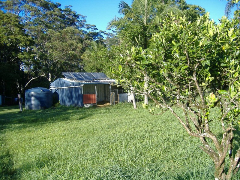 Mount Burrell NSW 2484