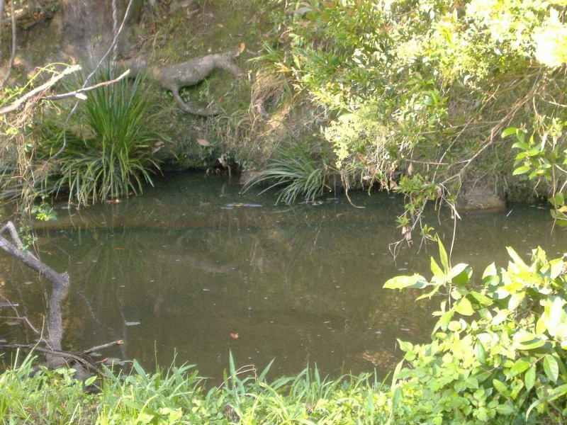 Mount Burrell NSW 2484