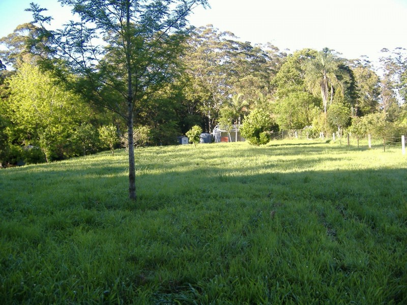 Mount Burrell NSW 2484